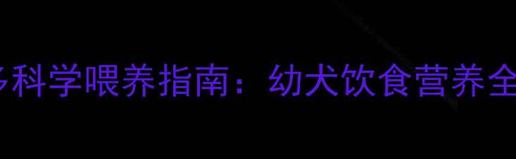 图片 一个月大拉布拉多科学喂养指南：幼犬饮食营养全（附每日食谱）1