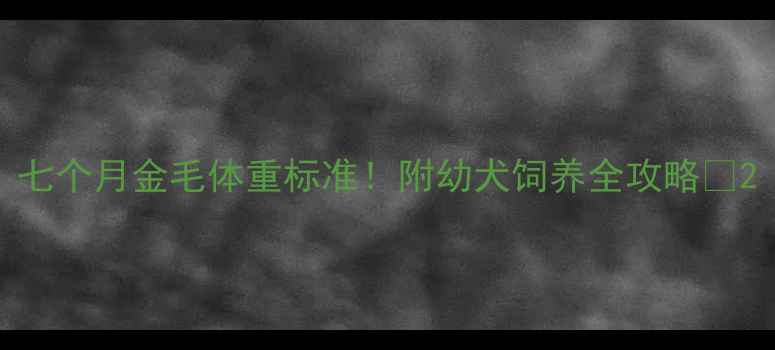 图片 七个月金毛体重标准！附幼犬饲养全攻略🐾2