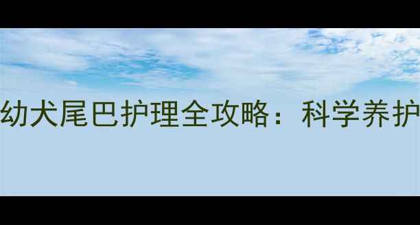 图片 三个月大哈士奇幼犬尾巴护理全攻略：科学养护指南与常见问题