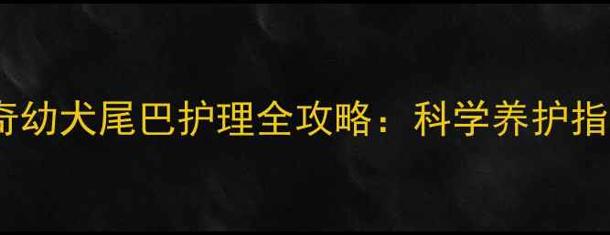 图片 三个月大哈士奇幼犬尾巴护理全攻略：科学养护指南与常见问题1