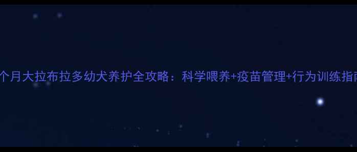 图片 三个月大拉布拉多幼犬养护全攻略：科学喂养+疫苗管理+行为训练指南1