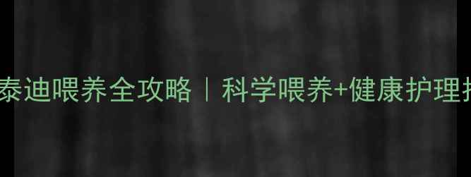 图片 三个月泰迪喂养全攻略｜科学喂养+健康护理指南🐾2