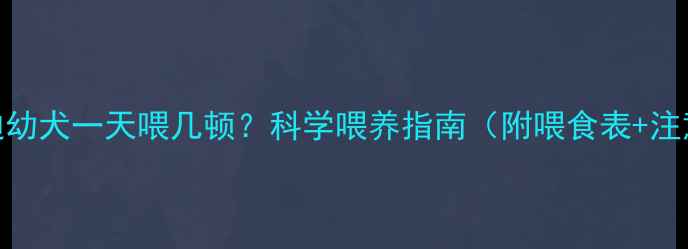 图片 三个月泰迪幼犬一天喂几顿？科学喂养指南（附喂食表+注意事项）🐾