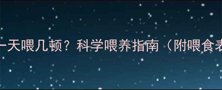 图片 三个月泰迪幼犬一天喂几顿？科学喂养指南（附喂食表+注意事项）🐾2