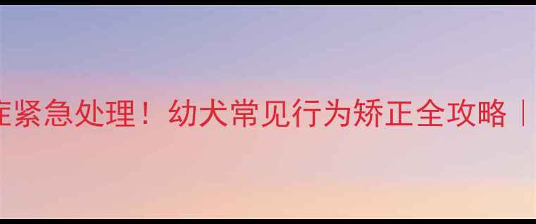 图片 三个月金毛多动症紧急处理！幼犬常见行为矫正全攻略｜附训练视频教程1