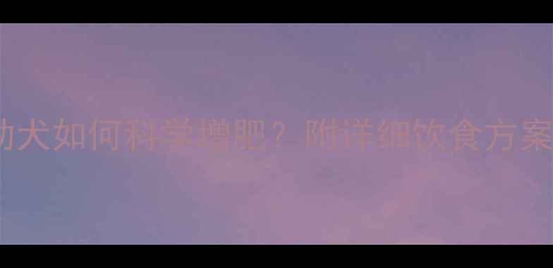 图片 三个月金毛幼犬如何科学增肥？附详细饮食方案与喂养技巧1