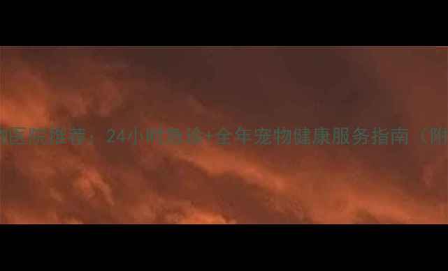 图片 上海徐家汇专业宠物医院推荐：24小时急诊+全年宠物健康服务指南（附地址与预约方式）2