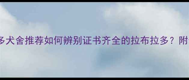 图片 上海正规拉布拉多犬舍推荐如何辨别证书齐全的拉布拉多？附全流程购买指南2