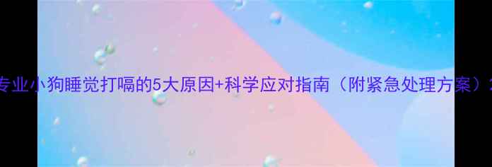 图片 专业小狗睡觉打嗝的5大原因+科学应对指南（附紧急处理方案）2