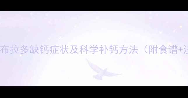 图片 专业指南拉布拉多缺钙症状及科学补钙方法（附食谱+注意事项）1