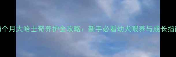 图片 两个月大哈士奇养护全攻略：新手必看幼犬喂养与成长指南