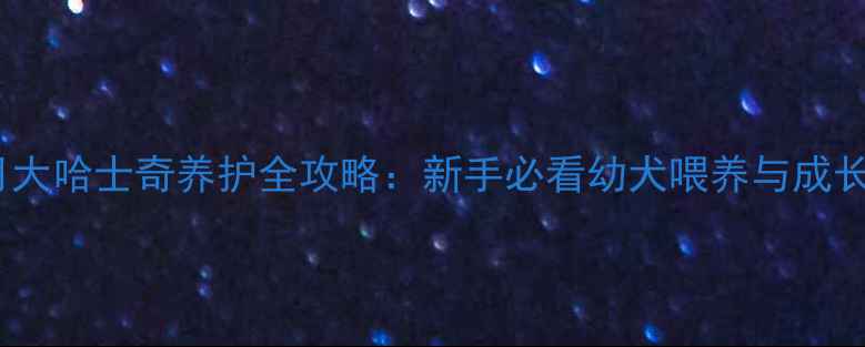 图片 两个月大哈士奇养护全攻略：新手必看幼犬喂养与成长指南1