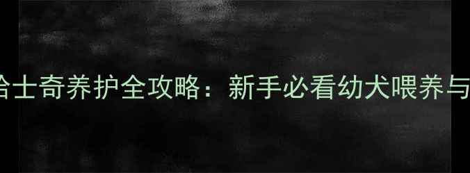 图片 两个月大哈士奇养护全攻略：新手必看幼犬喂养与成长指南2
