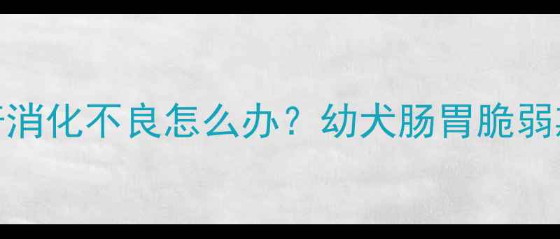 图片 两个月大哈士奇消化不良怎么办？幼犬肠胃脆弱期科学调理指南