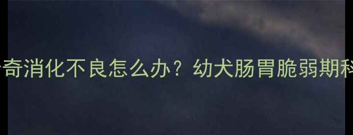 图片 两个月大哈士奇消化不良怎么办？幼犬肠胃脆弱期科学调理指南2
