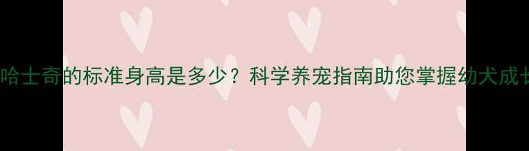 图片 两个月大哈士奇的标准身高是多少？科学养宠指南助您掌握幼犬成长关键期2