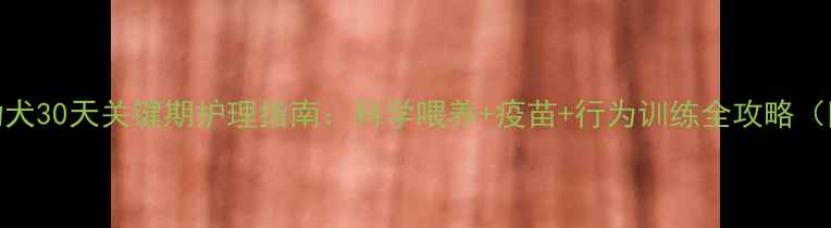 图片 两个月大幼犬30天关键期护理指南：科学喂养+疫苗+行为训练全攻略（附成长表）