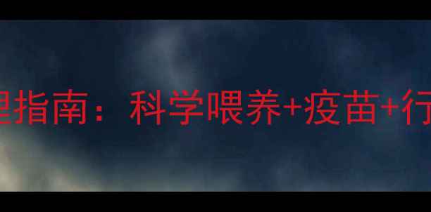 图片 两个月大幼犬30天关键期护理指南：科学喂养+疫苗+行为训练全攻略（附成长表）2