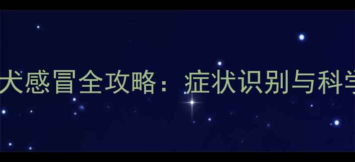 图片 两个月大幼犬感冒全攻略：症状识别与科学护理指南2