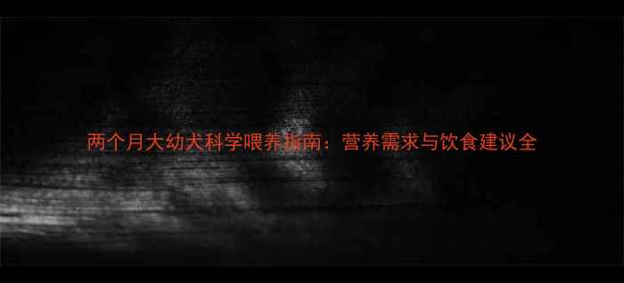 图片 两个月大幼犬科学喂养指南：营养需求与饮食建议全