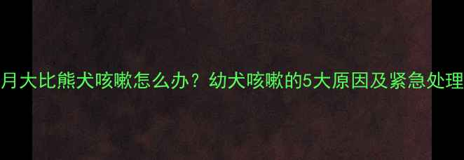 图片 两个月大比熊犬咳嗽怎么办？幼犬咳嗽的5大原因及紧急处理指南