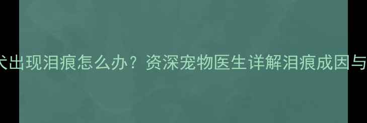 图片 两个月大泰迪犬出现泪痕怎么办？资深宠物医生详解泪痕成因与快速解决方案2