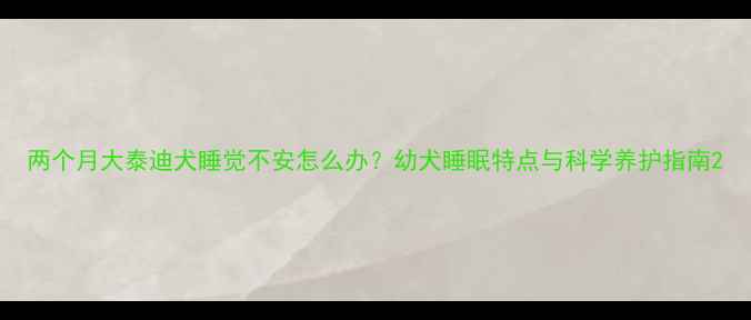 图片 两个月大泰迪犬睡觉不安怎么办？幼犬睡眠特点与科学养护指南2