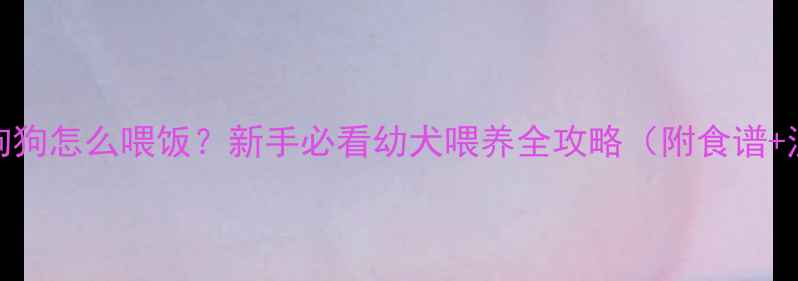 图片 两个月大狗狗怎么喂饭？新手必看幼犬喂养全攻略（附食谱+注意事项）