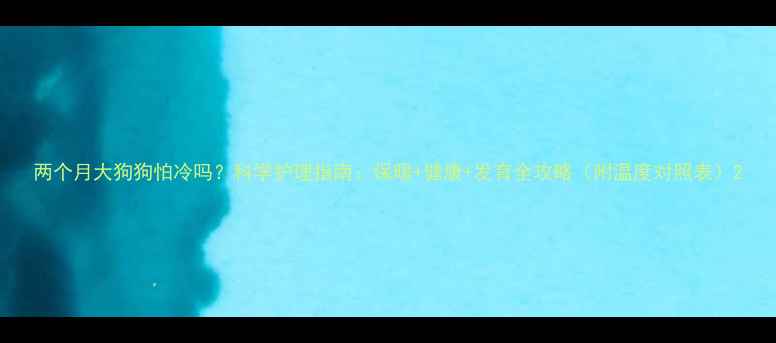 图片 两个月大狗狗怕冷吗？科学护理指南：保暖+健康+发育全攻略（附温度对照表）2