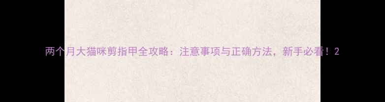 图片 两个月大猫咪剪指甲全攻略：注意事项与正确方法，新手必看！2