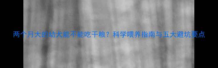 图片 两个月大的幼犬能不能吃干粮？科学喂养指南与五大避坑要点