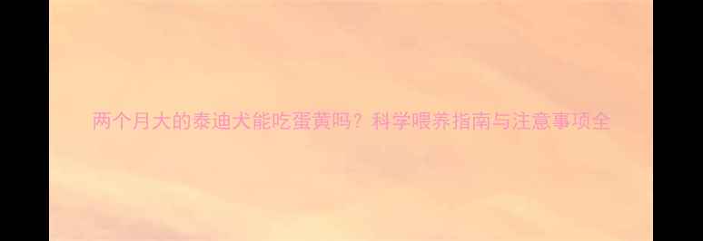 图片 两个月大的泰迪犬能吃蛋黄吗？科学喂养指南与注意事项全