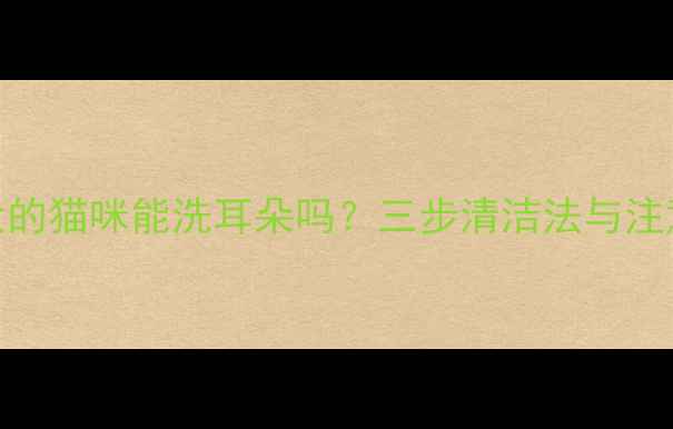 图片 两个月大的猫咪能洗耳朵吗？三步清洁法与注意事项全