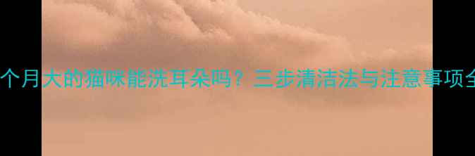 图片 两个月大的猫咪能洗耳朵吗？三步清洁法与注意事项全1