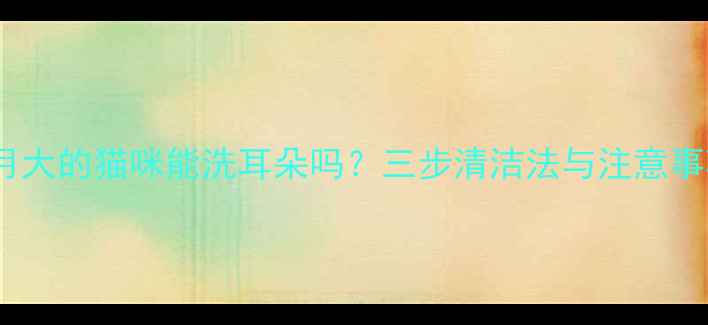 图片 两个月大的猫咪能洗耳朵吗？三步清洁法与注意事项全2