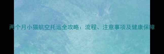 图片 两个月小猫航空托运全攻略：流程、注意事项及健康保障