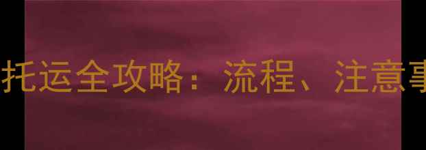 图片 两个月小猫航空托运全攻略：流程、注意事项及健康保障2