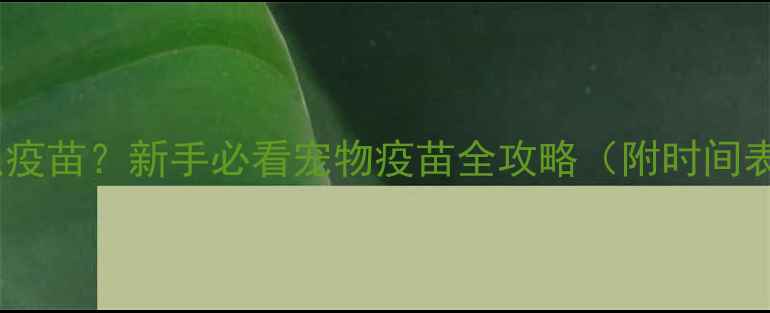 图片 两个月打什么疫苗？新手必看宠物疫苗全攻略（附时间表+避坑指南）