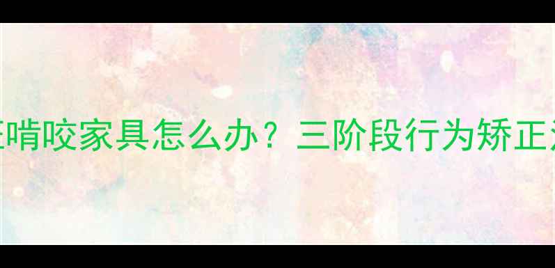 图片 两个月泰迪幼犬疯狂啃咬家具怎么办？三阶段行为矫正法+8种磨牙玩具测评