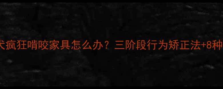 图片 两个月泰迪幼犬疯狂啃咬家具怎么办？三阶段行为矫正法+8种磨牙玩具测评1