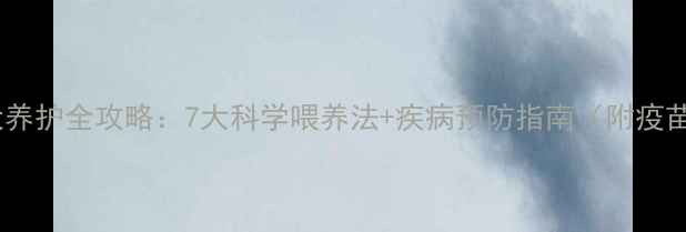 图片 两个月金毛幼犬养护全攻略：7大科学喂养法+疾病预防指南（附疫苗接种时间表）2