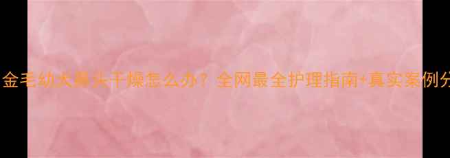 图片 两个月金毛幼犬鼻头干燥怎么办？全网最全护理指南+真实案例分享🐾2