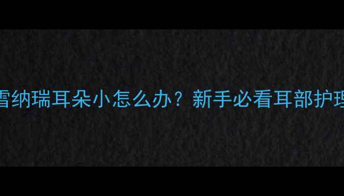 图片 两个月雪纳瑞耳朵小怎么办？新手必看耳部护理全攻略