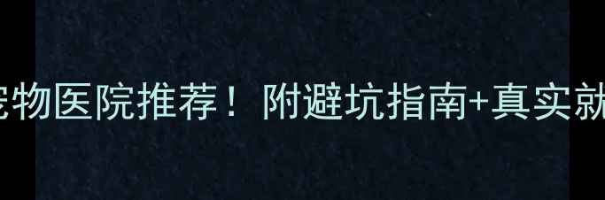 图片 中国最好的宠物医院推荐！附避坑指南+真实就诊体验分享1