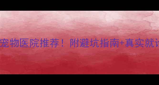 图片 中国最好的宠物医院推荐！附避坑指南+真实就诊体验分享2