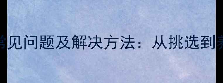 图片 串串小狗常见问题及解决方法：从挑选到养宠全攻略
