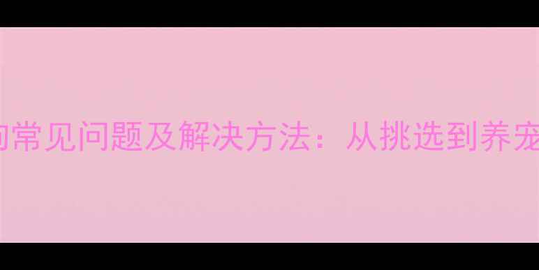图片 串串小狗常见问题及解决方法：从挑选到养宠全攻略2