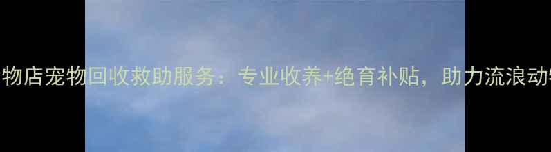 图片 丹东宠物店宠物回收救助服务：专业收养+绝育补贴，助力流浪动物home