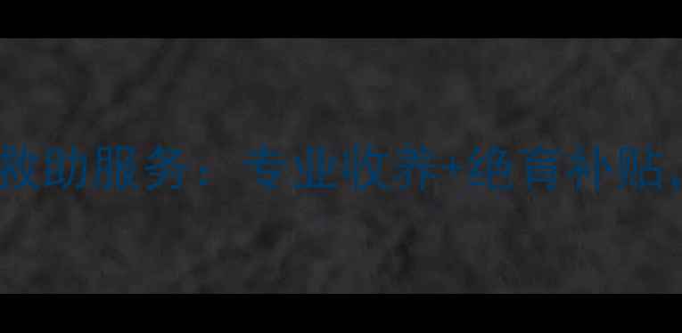 图片 丹东宠物店宠物回收救助服务：专业收养+绝育补贴，助力流浪动物home1