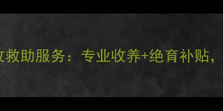 图片 丹东宠物店宠物回收救助服务：专业收养+绝育补贴，助力流浪动物home2
